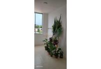 Apartamentos, Alquiler, Pie de Cuesta - $1.230.000