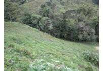 Fincas y Casas Campestres, Venta, Dagua - $1.300.000.000