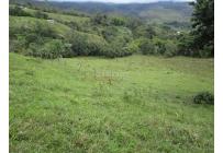 Fincas y Casas Campestres, Venta, Dagua - $1.300.000.000