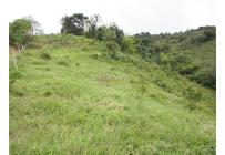 Fincas y Casas Campestres, Venta, Dagua - $1.300.000.000