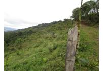 Fincas y Casas Campestres, Venta, Dagua - $1.300.000.000