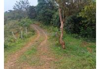 Fincas y Casas Campestres, Venta, Dagua - $1.300.000.000