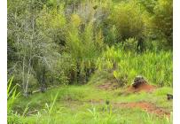 Lotes, Venta, Dagua - $155.000.000