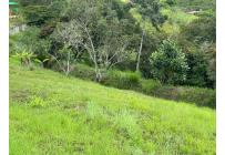 Lotes, Venta, Dagua - $155.000.000