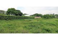 Lotes, Venta, Pance - $7.400.000.000