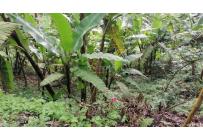 Lotes, Venta, Yumbo - $430.000.000