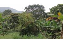 Lotes, Venta, Yumbo - $430.000.000