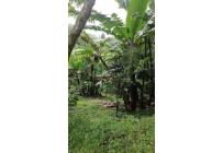Lotes, Venta, Yumbo - $430.000.000