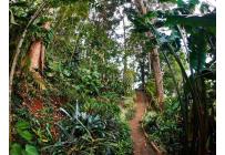 Fincas y Casas Campestres, Venta, Saladito - $620.000.000