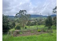 Fincas y Casas Campestres, Venta, La Cumbre - $1.600.000.000