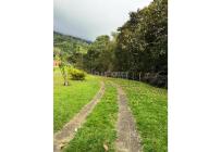 Fincas y Casas Campestres, Venta, Dagua - $1.500.000.000