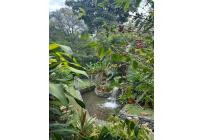 Casas, Venta, Pance - $1.800.000.000