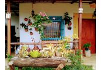 Casas, Venta, Dagua - $475.000.000