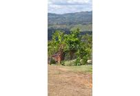 Casas, Venta, Dagua - $475.000.000