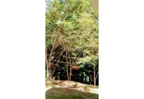 Casas, Venta, Dagua - $475.000.000