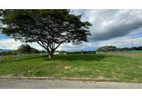 Lotes, Venta, Palmira - $290.000.000