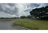 Lotes, Venta, Palmira - $290.000.000