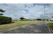 Lotes, Venta, Palmira - $290.000.000