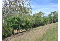 Lotes, Venta, Pance - $1.400.000.000