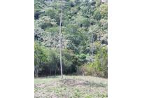 Lotes, Venta, Pance - $1.400.000.000