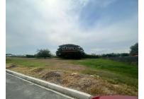 Lotes, Venta, Palmira - $335.000.000