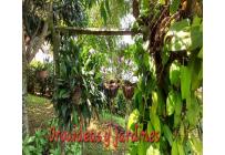 Casas, Venta, Bella Suiza - $1.100.000.000