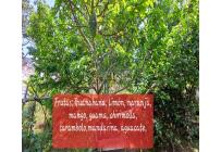 Casas, Venta, Bella Suiza - $1.100.000.000