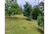 Casas, Venta, La Cumbre - $382.000.000