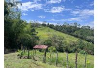 Lotes, Venta, Pance - $540.000.000