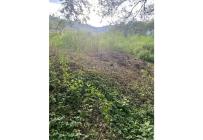 Lotes, Venta, La Campiña - $21.600.000.000