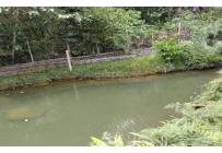 Fincas y Casas Campestres, Venta, Villacarmelo - $980.000.000