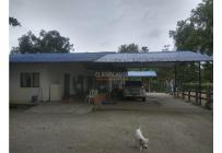 Fincas y Casas Campestres, Venta, Candelaria - $4.000.000.000