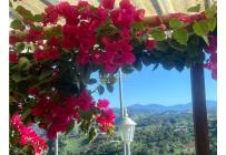 Fincas y Casas Campestres, Venta, Dagua - $480.000.000