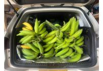 Fincas y Casas Campestres, Venta, Dagua - $480.000.000