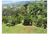 Fincas y Casas Campestres, Venta, Dagua - $480.000.000