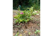 Casas, Venta, Yumbo - $1.900.000.000