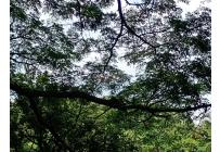 Casas, Venta, Yumbo - $1.900.000.000