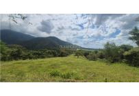 Lotes, Venta, Palmira - $125.000.000