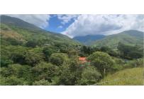 Lotes, Venta, Palmira - $125.000.000