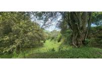 Lotes, Venta, Palmira - $125.000.000