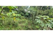 Lotes, Venta, Palmira - $125.000.000