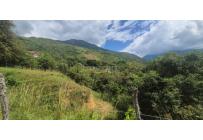 Lotes, Venta, Palmira - $125.000.000