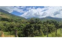 Lotes, Venta, Palmira - $125.000.000