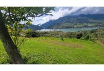 Fincas y Casas Campestres, Venta, Calima (Darién) - $1.800.000.000