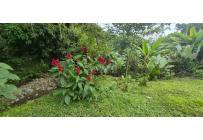 Lotes, Venta, Palmira - $125.000.000