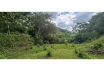 Lotes, Venta, Palmira - $125.000.000