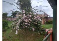 Fincas y Casas Campestres, Venta, La Cumbre - $450.000.000