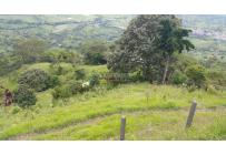 Fincas y Casas Campestres, Venta, Tuluá - $220.000.000