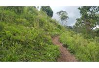 Fincas y Casas Campestres, Venta, Tuluá - $220.000.000