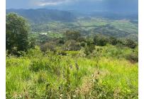 Fincas y Casas Campestres, Venta, Tuluá - $220.000.000